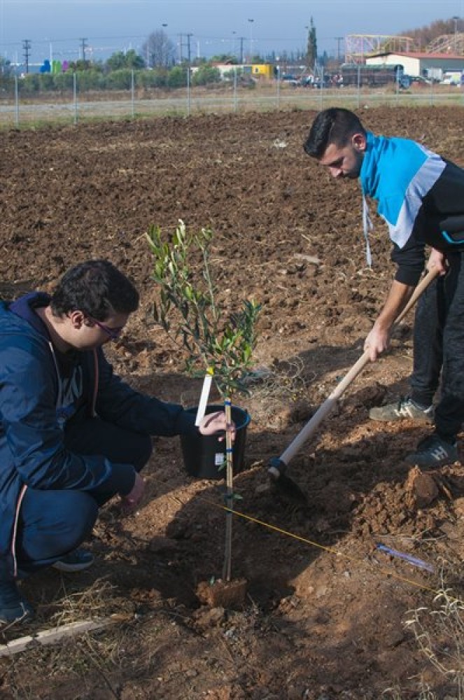Φυτεύτηκαν τα πρώτα καρποφόρα δέντρα στο αγρόκτημα του ΙΕΚ ΔΕΛΤΑ
