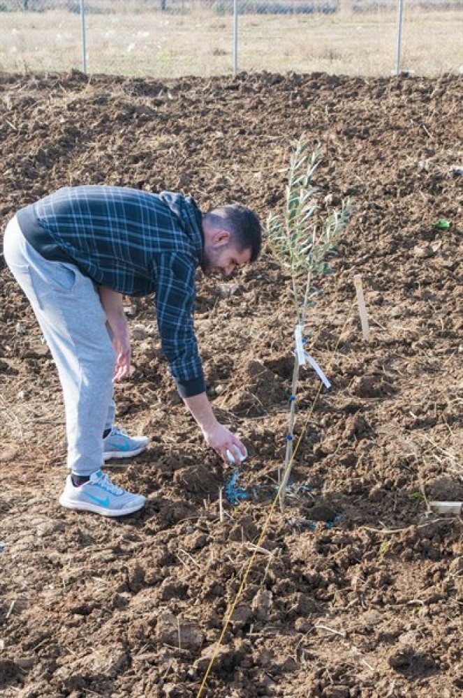Φυτεύτηκαν τα πρώτα καρποφόρα δέντρα στο αγρόκτημα του ΙΕΚ ΔΕΛΤΑ