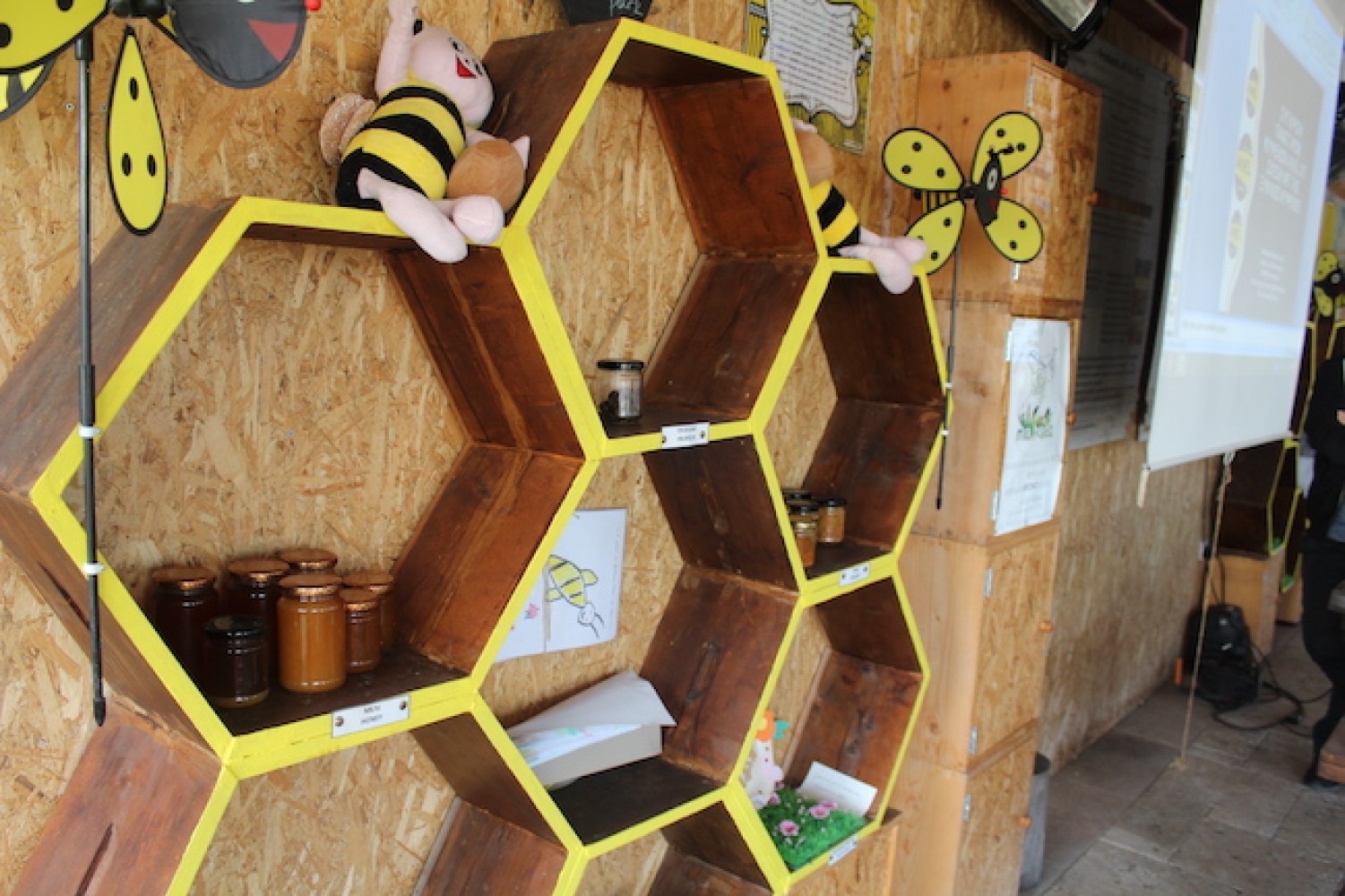 Επίσκεψη σπουδαστών Μελισσοκομίας στο ANEL Honey Park