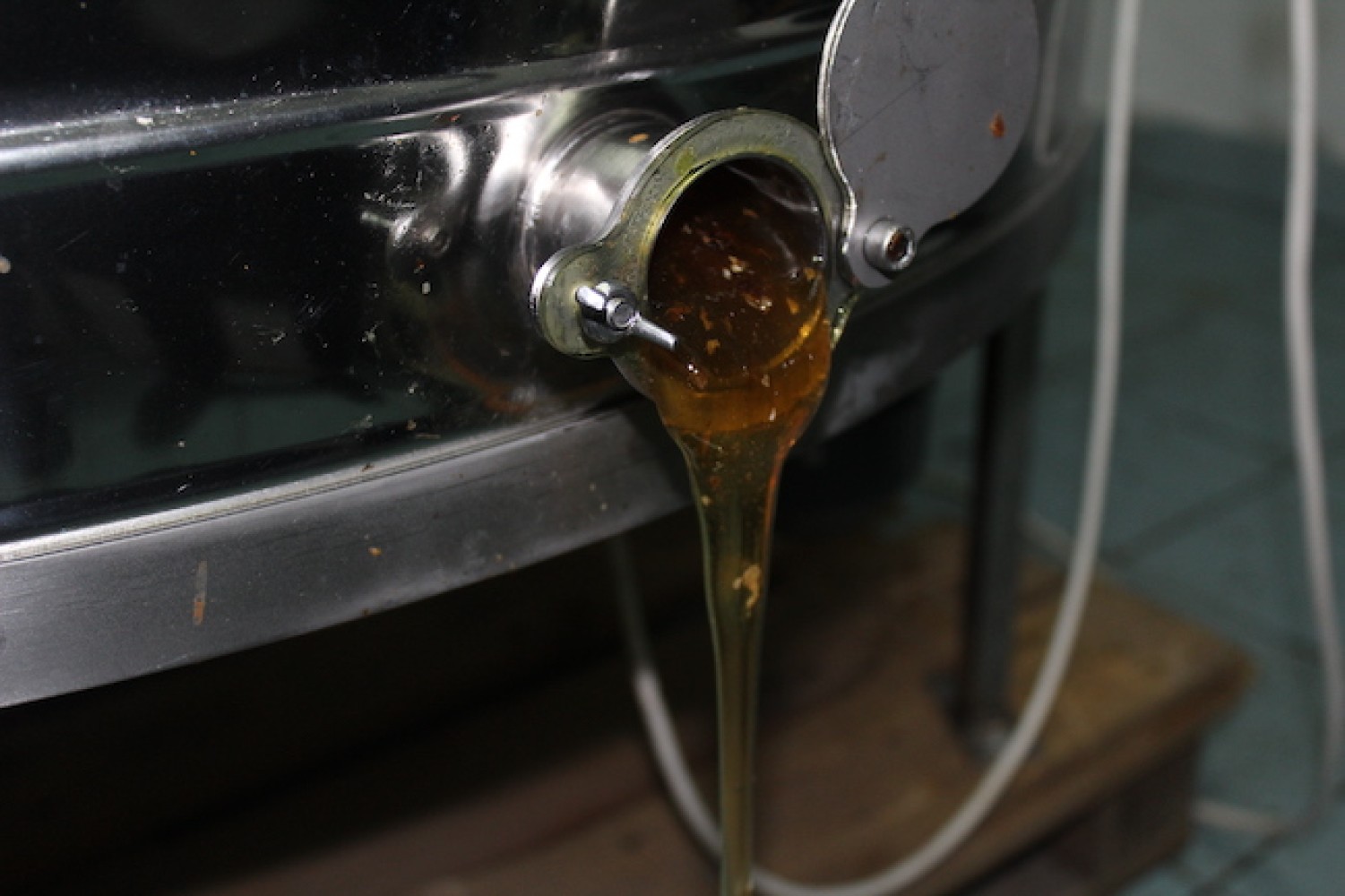 Επίσκεψη σπουδαστών Μελισσοκομίας στο ANEL Honey Park