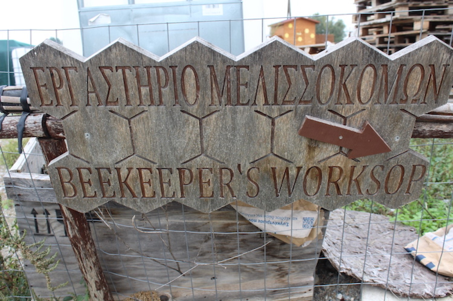 Επίσκεψη σπουδαστών Μελισσοκομίας στο ANEL Honey Park