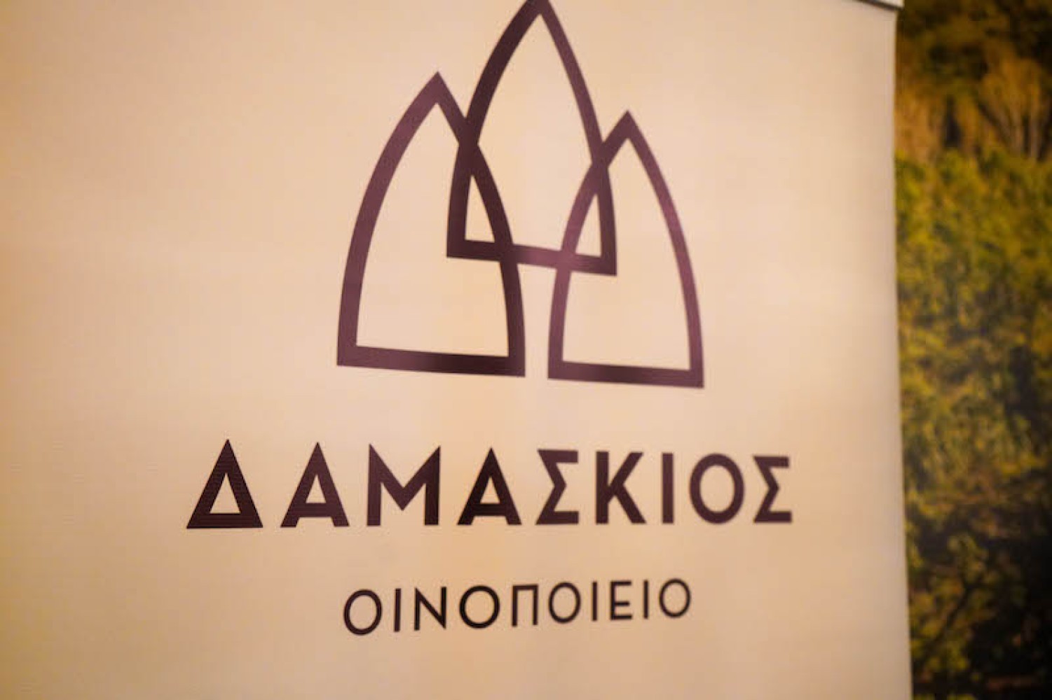 Το ΙΕΚ ΔΕΛΤΑ 360 Θεσσαλονίκης γέμισε το Tom's και έκανε την πιο ωραία Χριστουγεννιάτικη Γιορτή για το προσωπικό του