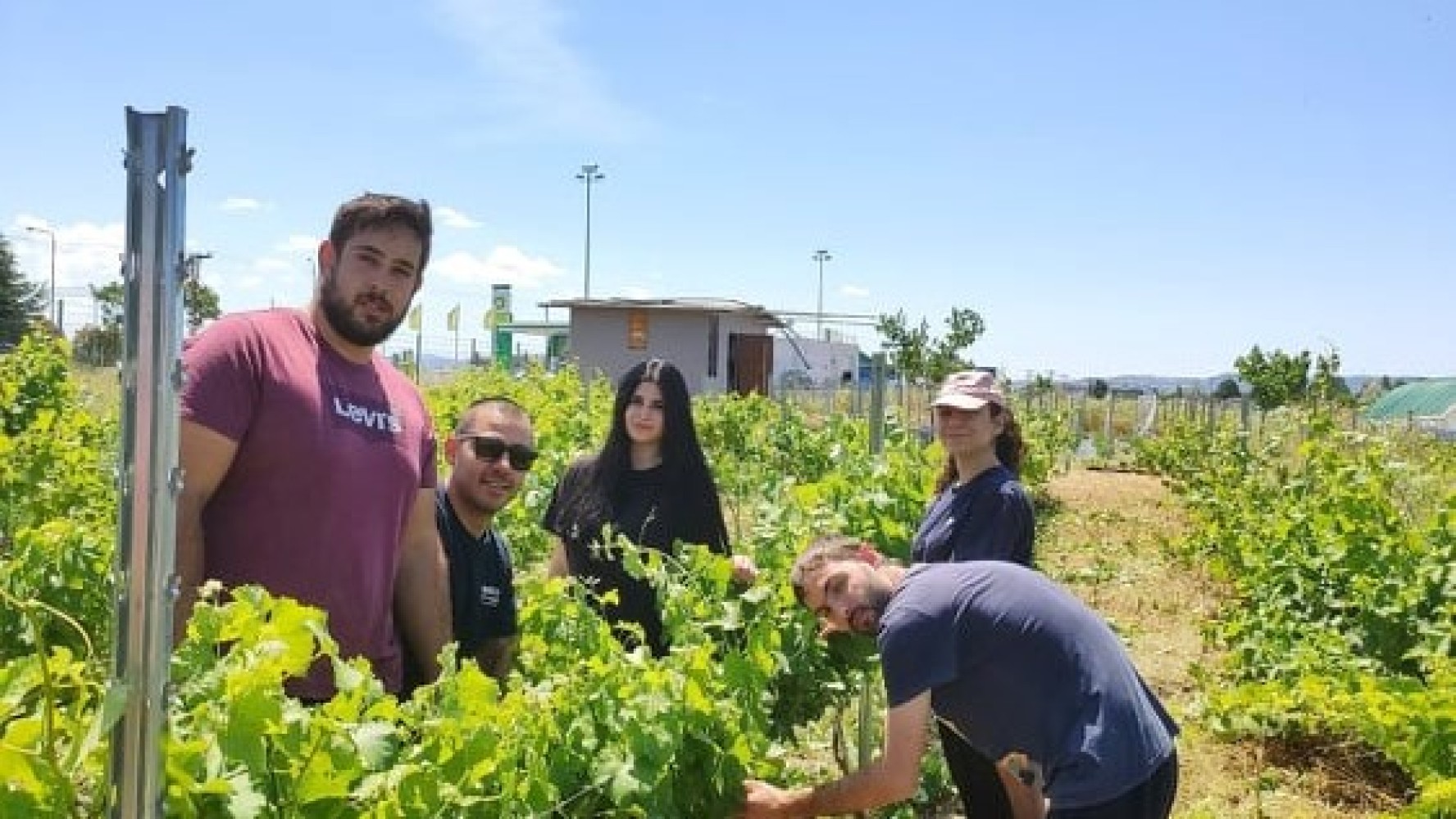 14 Νοεμβρίου: Ευρωπαϊκή Ημέρα ΟινοΤουρισμού - Ένα τουριστικό μοντέλο με επίκεντρο το κρασί!