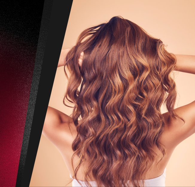 360 Seminar: Natural lights Balayage