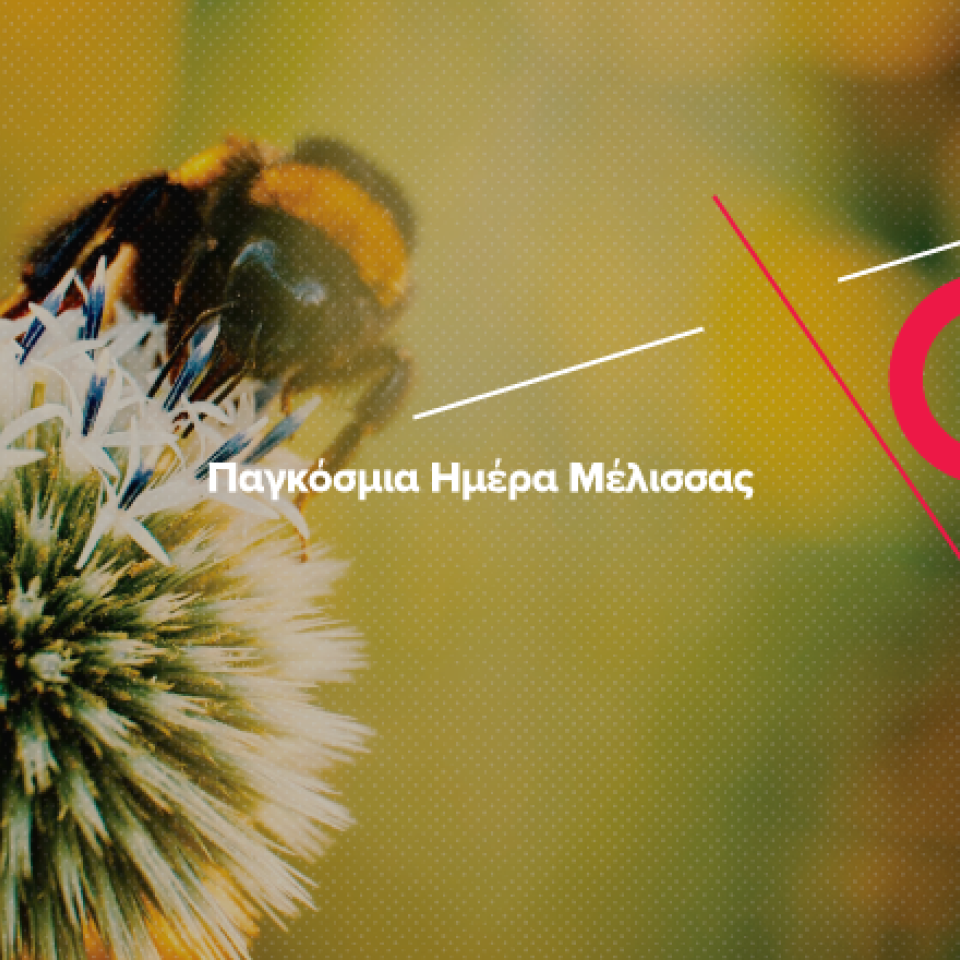 20/5: Παγκόσμια Ημέρα Μέλισσας – Ραγδαία ανάπτυξη στο επάγγελμα του Μελισσοκόμου! 