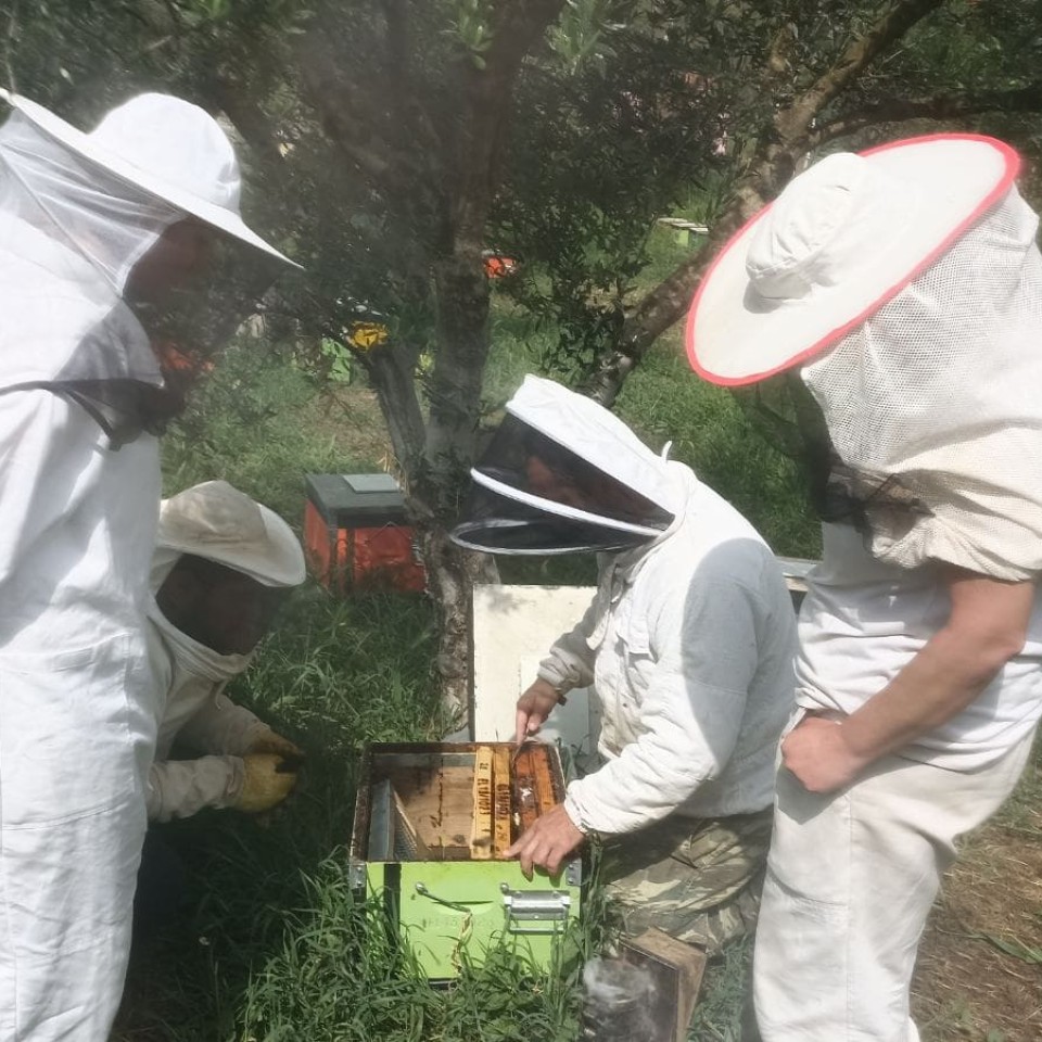 Σπουδαστές της Μελισσοκομίας επισκέπτονται τη μονάδα BeBee Organic Honey