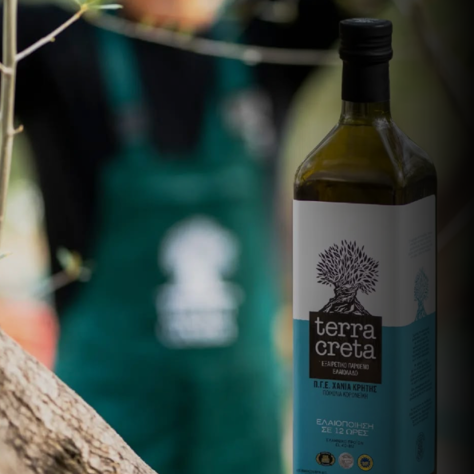 360 Seminar: Olive Oil Unveiled από την Terra Creta στις εκπαιδευτικές δομές της ΔΕΛΤΑ 360