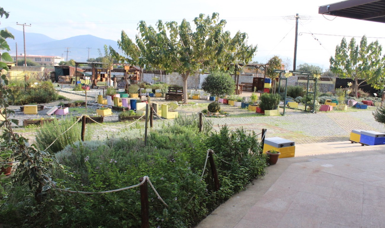 Επίσκεψη σπουδαστών Μελισσοκομίας στο ANEL Honey Park
