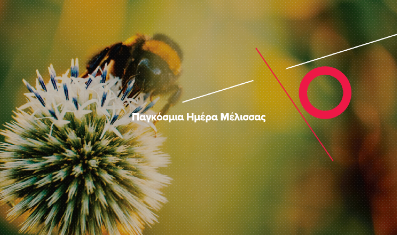 20/5: Παγκόσμια Ημέρα Μέλισσας – Ραγδαία ανάπτυξη στο επάγγελμα του Μελισσοκόμου! 20/5: Παγκόσμια Ημέρα Μέλισσας – Ραγδαία ανάπτυξη στο επάγγελμα του Μελισσοκόμου!