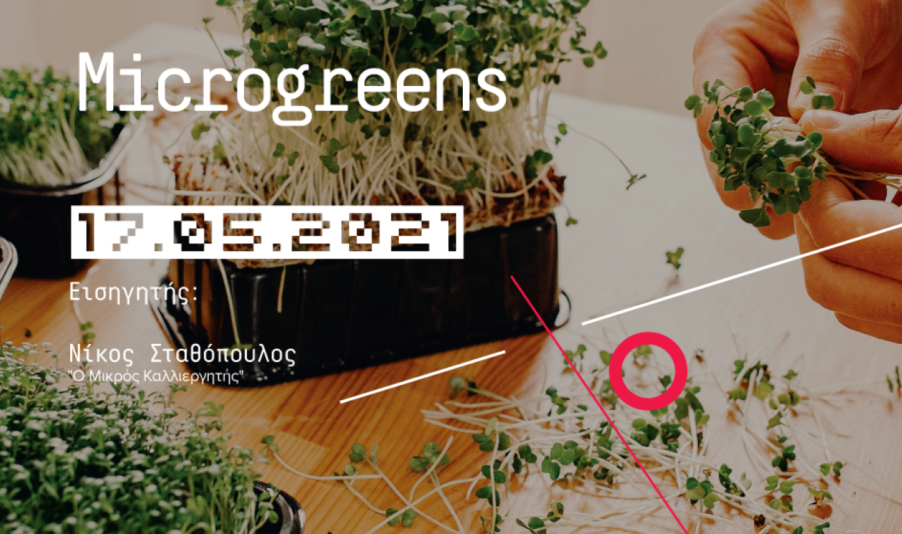 360 Free Webinar: Microgreens 360 Free Webinar: Microgreens