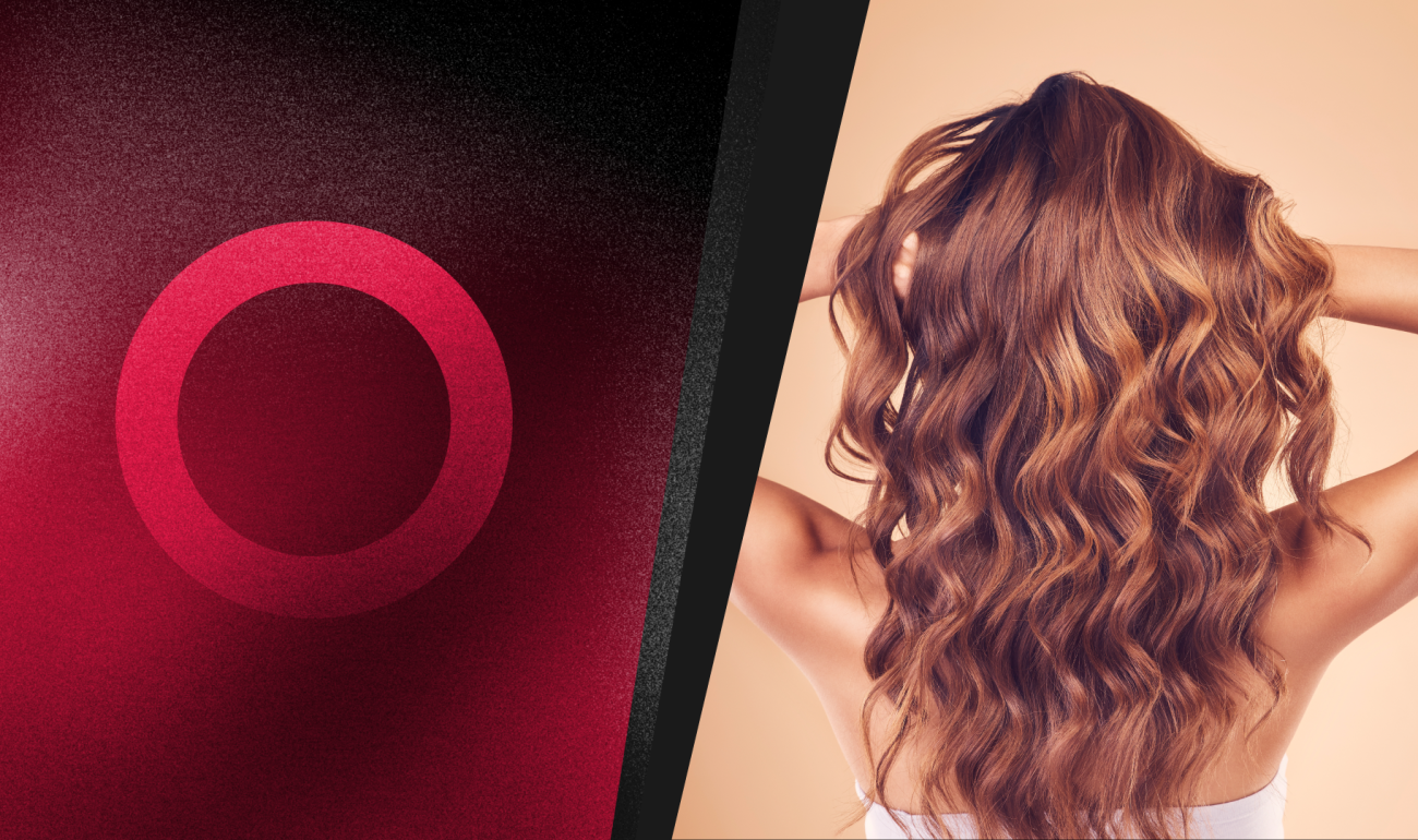 360 Seminar: Natural lights Balayage